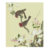 Painting by numbers birds and flowers